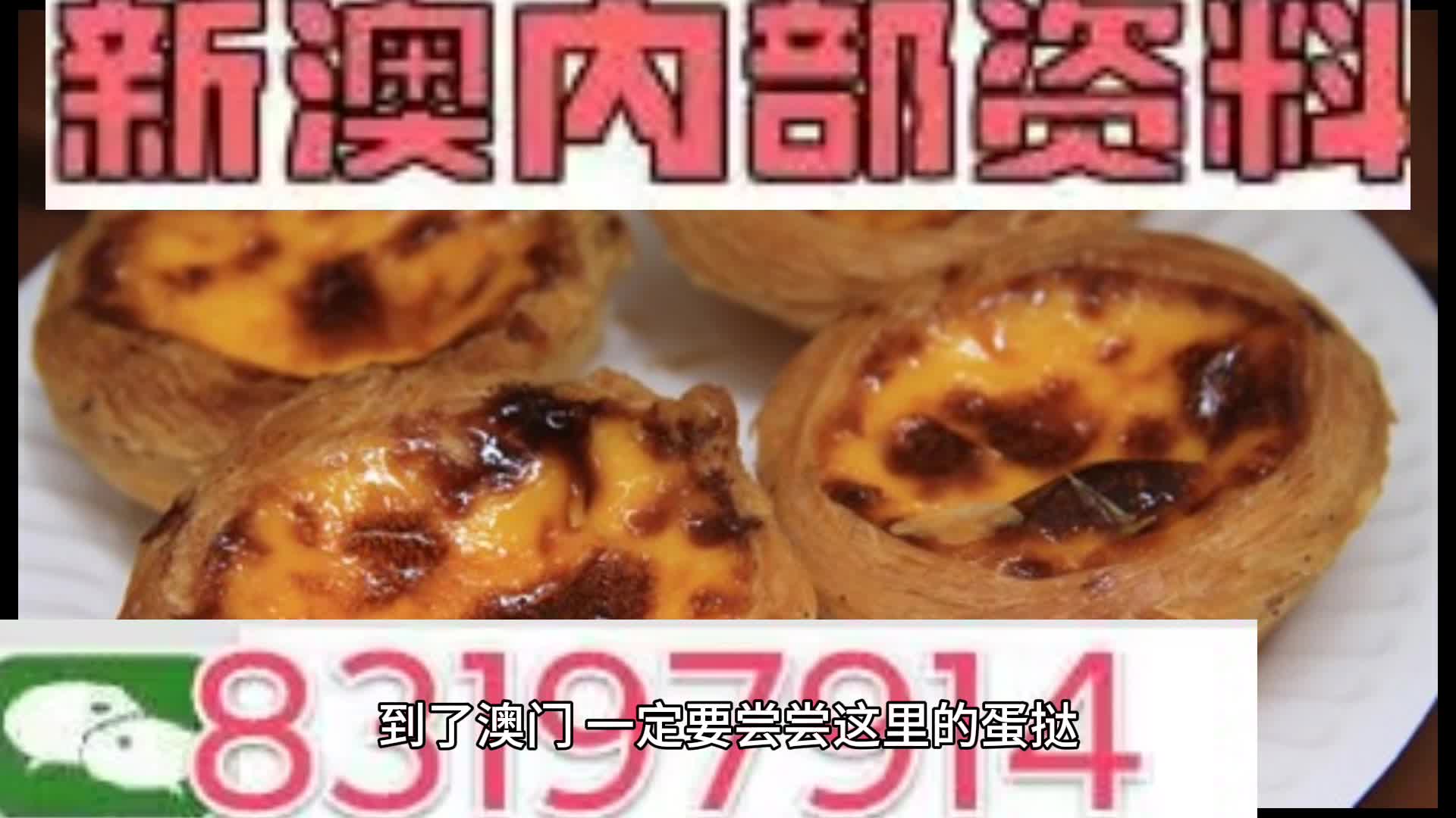 新澳门资料大全正版资料与惠顾释义，深度解析与落实