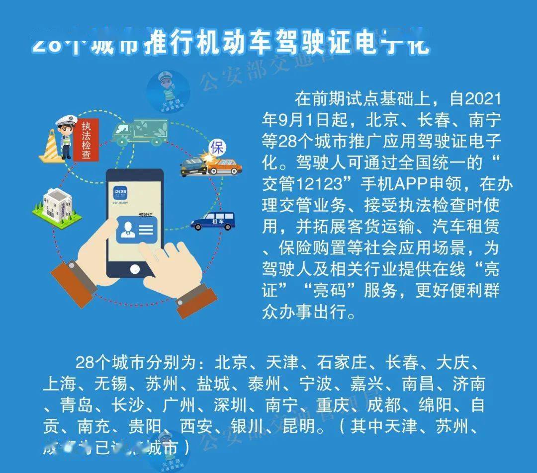 新澳门资料大全正版资料2025年免费下载，定位释义、解释与落实