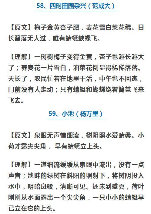 探究王中王传真与缓解释义解释落实，一种独特的文化现象与理念实践