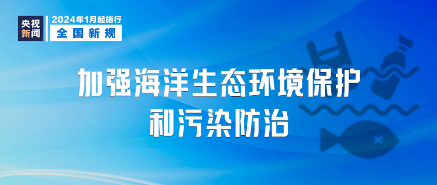 新澳公司，深入解析与落实2025新澳免费资料四十期释义