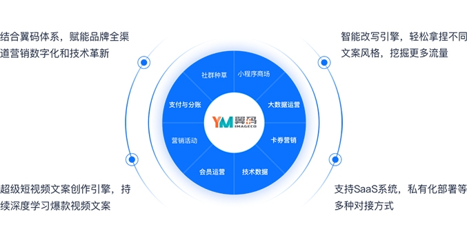 管家婆一肖一码，揭秘神秘数字背后的奥秘与落实策略