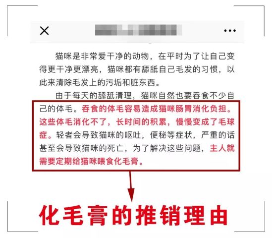 探索未来，聚焦营销释义与落实策略在2025年新澳历史开奖记录中的实践