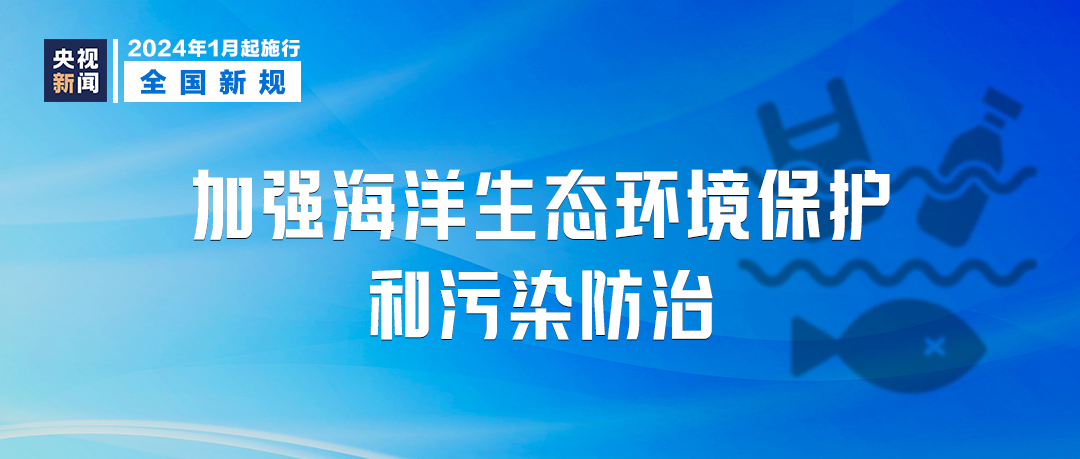 新澳2025资料大全免费，乐观释义下的实施与落实