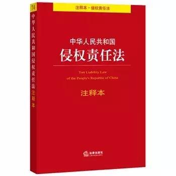 新澳精准资料大全与责任释义，落实行动与担当的蓝图