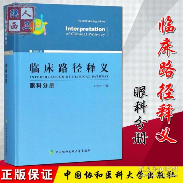 新奥精准正版资料的重要性与实现路径，释义解释落实