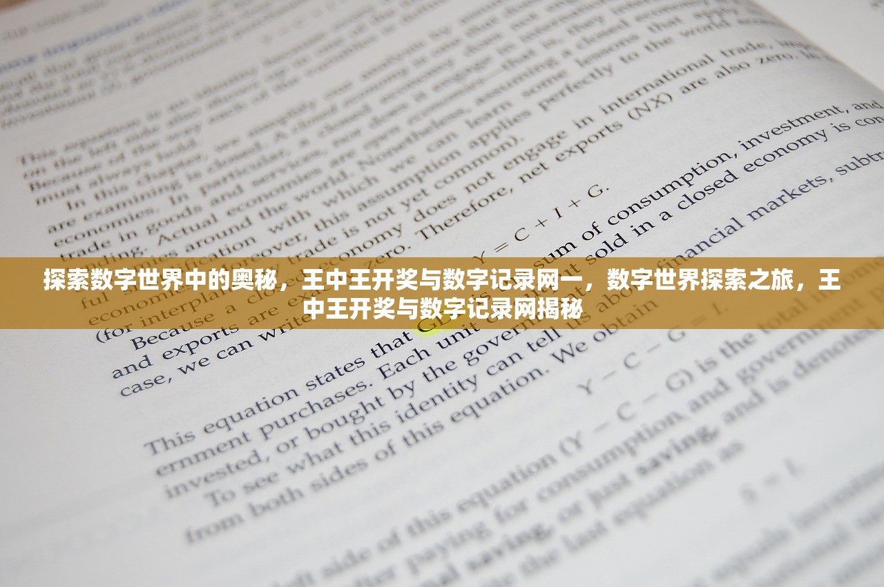 重塑释义解释落实，探索王中王开奖十记录网一与数字世界的新篇章