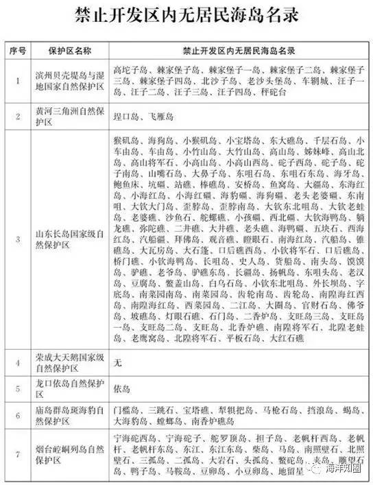 四不像正版资料2025年，深化释义、解释与落实