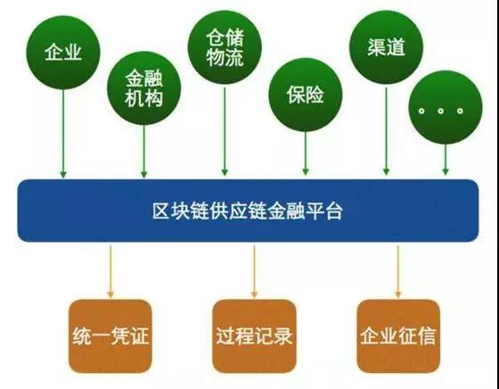 揭秘最准一肖，深度解析与精准资料探索