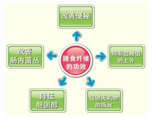 新澳天天开奖资料大全第103期，提升释义解释落实的重要性与实践