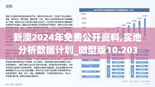 探索2025新澳正版免费资料的特点，深度解读与落实策略