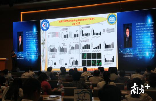 澳门百分百最准一肖，定义、释义、解释与落实