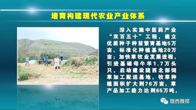 澳门免费最精准龙门释义解释落实策略展望