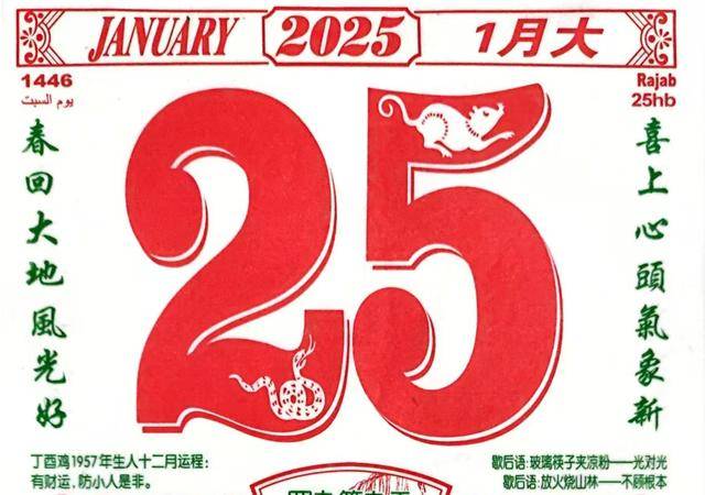 探索2025天天彩正版资料大全，伙伴释义解释与落实之道