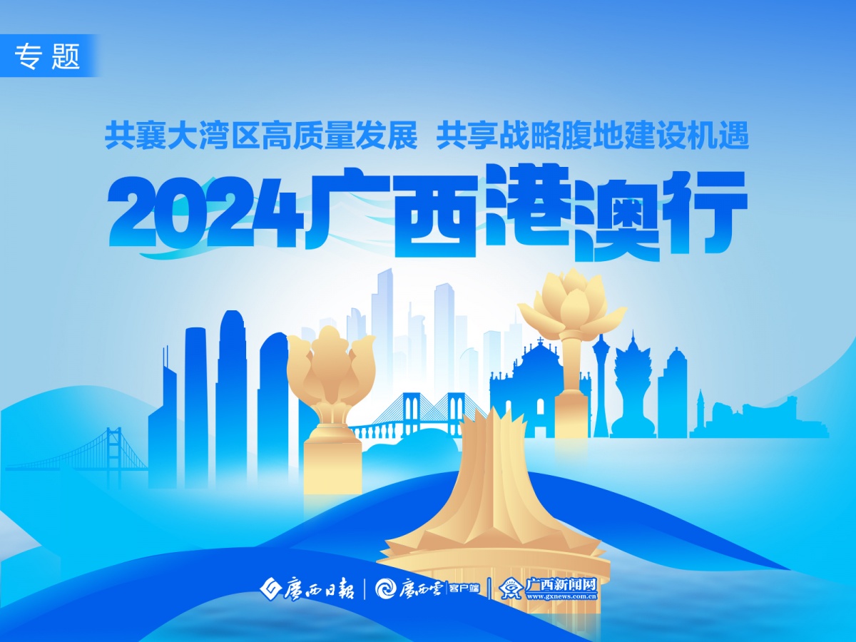 2025新澳精准资料大全，速度与释义的完美融合