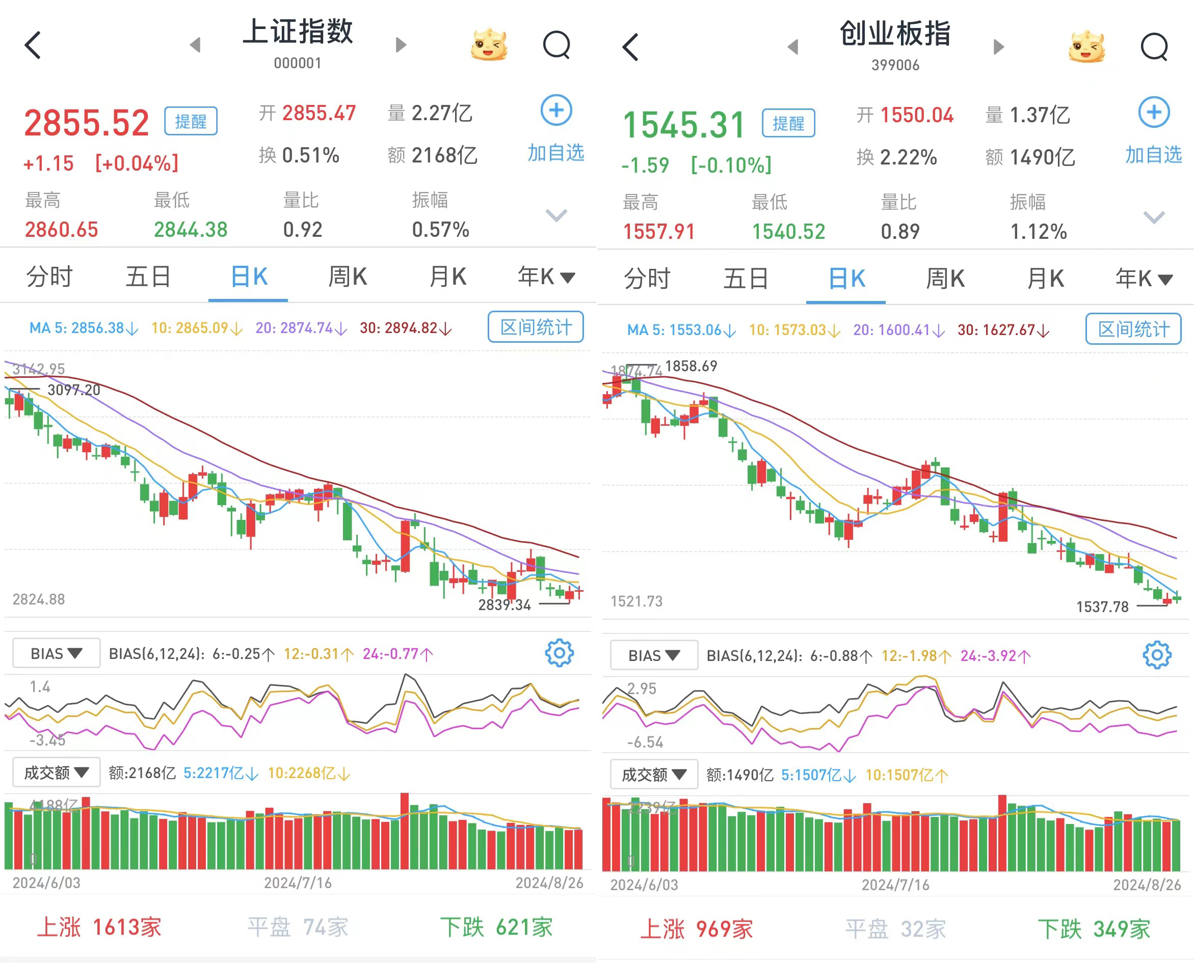 揭秘未来，2025特大牛市即将爆发——以心释义解读市场动向