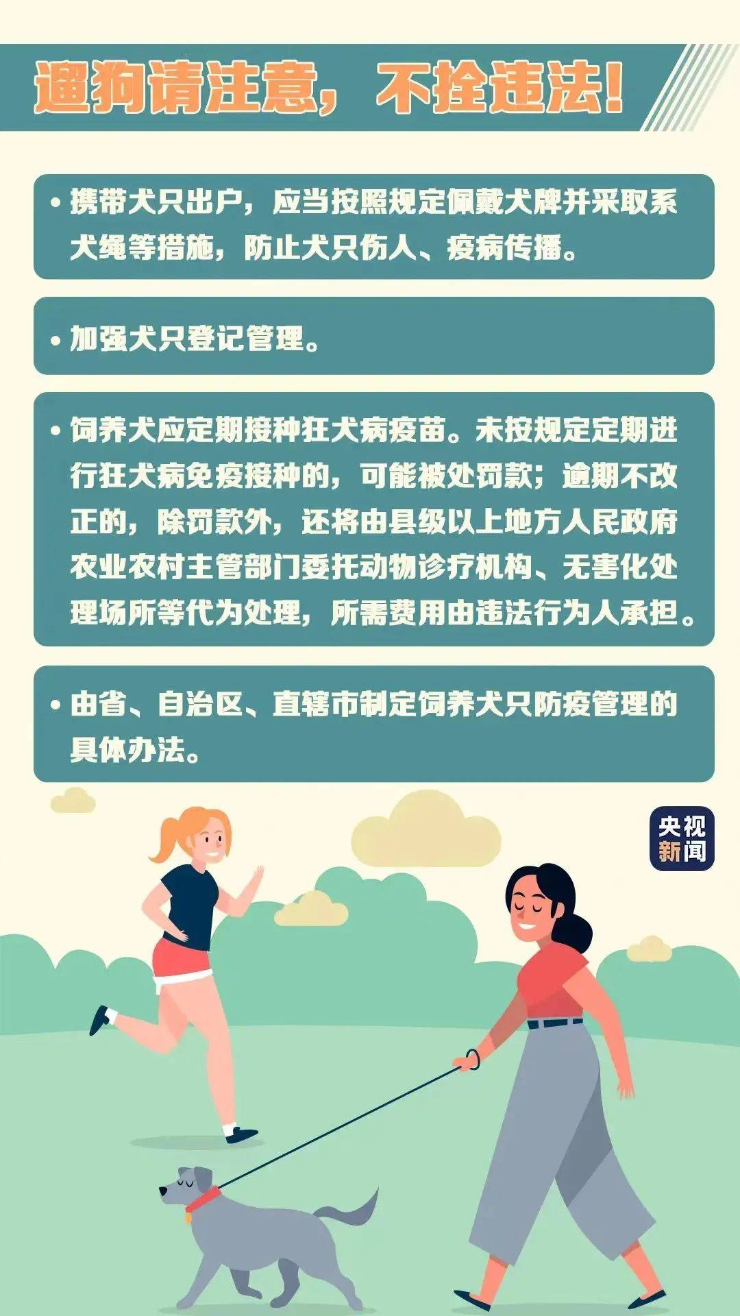 探索精准跑狗图正版，7777788888背后的意义与落实策略