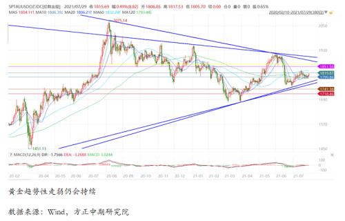 澳门精准免费大全与释义解释落实的未来发展展望（2025年）