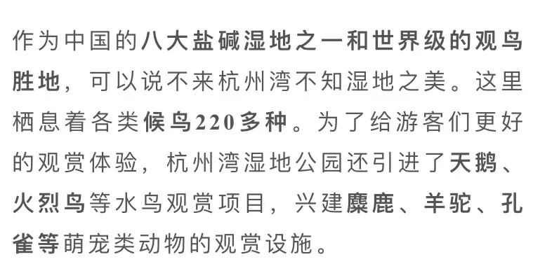 探索未来之路，聚焦新澳精准免费资料与积累释义的落实之路