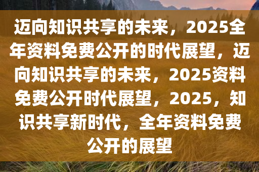 迈向2025，正版资料免费公开的实践与风范