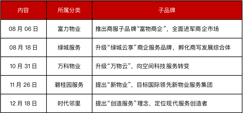 探索未来教育蓝图，精准教育资源的共享与落实——以丰盈释义下的新澳教育为例