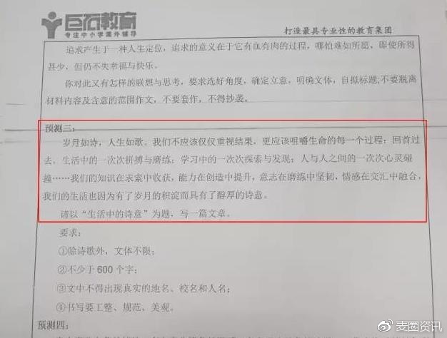 一肖一码，揭秘准资料背后的琢磨释义与落实之道