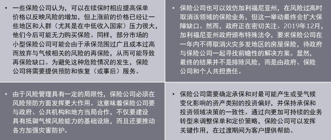 一肖一码，百分之百准确预测与抗风释义的落实解读